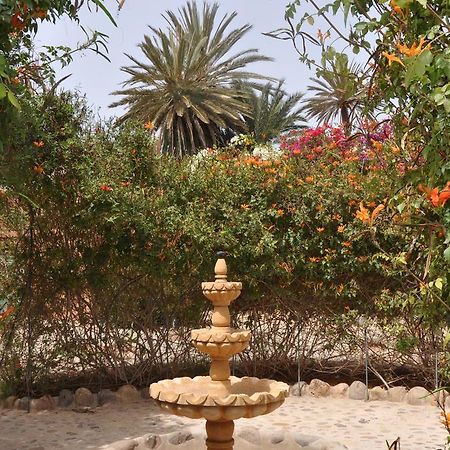 La Palmeraie De Massa Zaouit Massa Εξωτερικό φωτογραφία