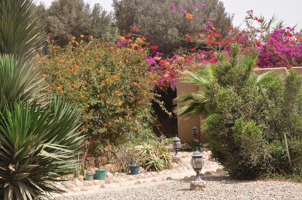 La Palmeraie De Massa Zaouit Massa Εξωτερικό φωτογραφία